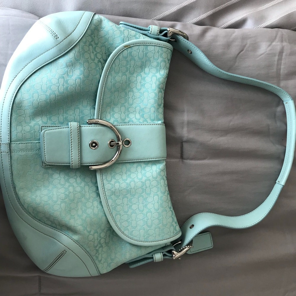 Baby blue coach purse